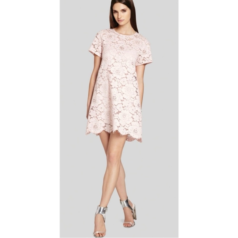 BCBGMaxAzria Diane Lace Mini Dress Pastel Pink Oversized With Slip Size L